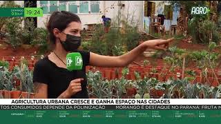 Miniatura do vídeo
