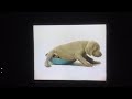 Sesame Street William Wegman Cock Crow Nursery Rhymes 1999
