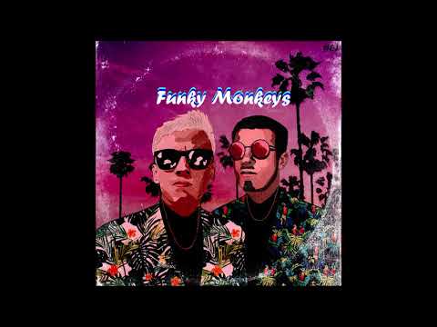 Funky Monkeys - Intro (prod. 2dk)