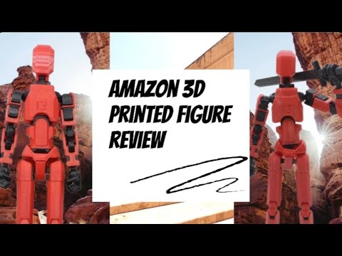 Amazon dummy 13 review!