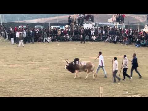 Saw nahnah vs Lieh U Heh | Iatur Masi Today | Iadaw Masi 