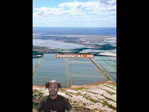 Conheça a maior fazenda de produção camarão do Brasil e que fica no nordeste