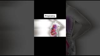 a reminder of how pregnancy actually looks like