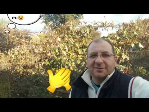 SOIMĂREŞTI.TG NEAMȚ.VIDEO PREZENTARE.HQ 1080P.