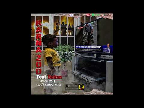 Karna Zoo featuring Sultan - On cherche pas à comprendre