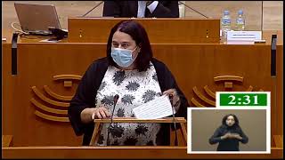 Sesión Plenaria nº 29 05/11/2020