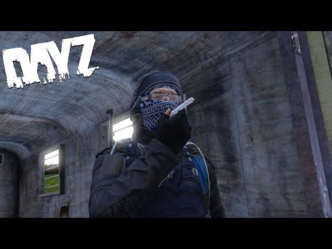 DayZ BEST and FUNNIEST Moments #3