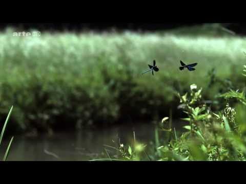 Jan Garbarek - The Creek