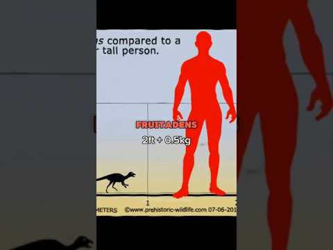 The smallest dinosaurs you’ve likely never heard of #prehistoric #dinosaur #extinct #small