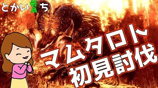 【MHW:I】マムタロトと装飾品集め周回したい【生放送LIVE】