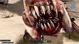 델리아 공속6 아인라허 라이노토스 금메달