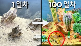 ;"100일간의-사막-시뮬레이션"