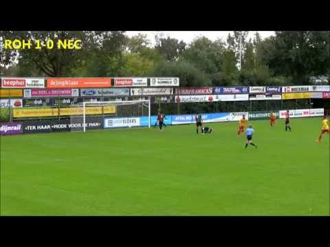 Samenvatting Rohda Raalte - NEC (ama)