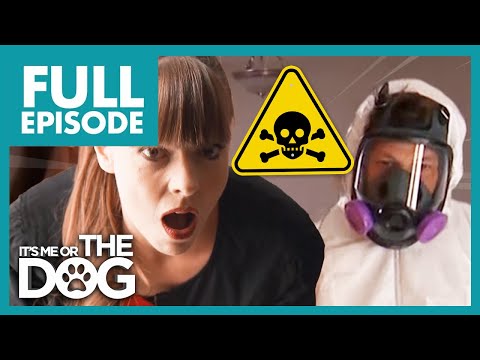 Victoria Shocked by Most Disgusting House EVER! | Full Episode USA | It's Me or The Dog