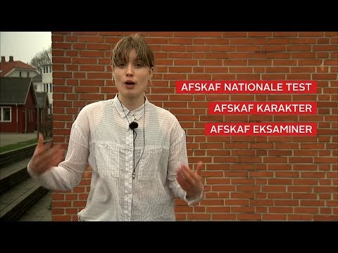 Elever: Sådan skal Folkeskolen se ud