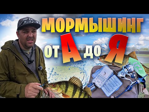 Мормышинг спиннингом: от А до Я за 30 минут