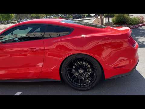 Eibach Sportline lowering springs on 2015+ mustang with 305 tires. Is it a good idea?