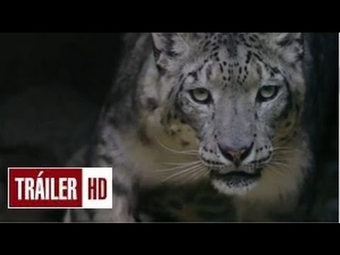 Born in China Official 'Earth Day' Trailer HD (2017) - Disneynature Documentary