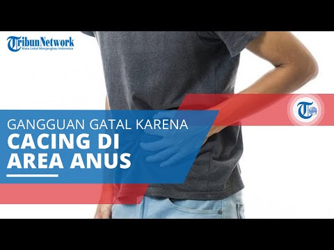 parazita megelőzés felnőtt tablettákban