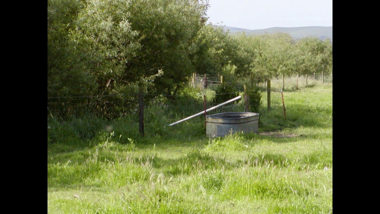 Completed Projects - Worksheet 6