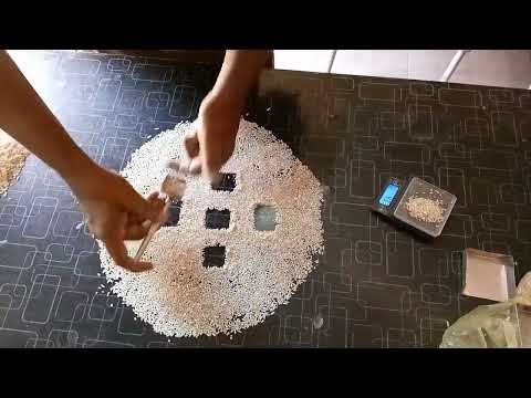 IRRI 6 RICE ANALYSIS PROSSES | BROKEN RESULT IN 10 GRAMS  |