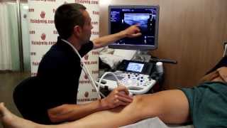 Ecografia de última generación en fisiojreig.com