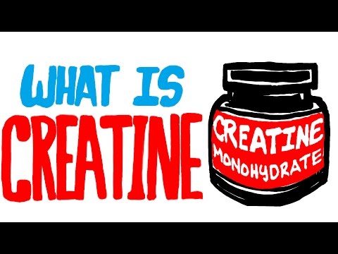 What is Creatine? Should You Be Taking This Supplement?
