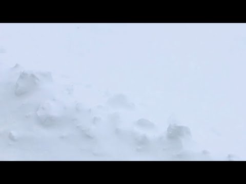 BLIZZARD whiteout conditions in coastal New England right now