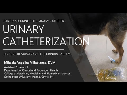 Lecture 10.5 Urinary Catheterization (Securing the Catheter)