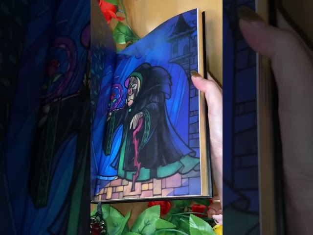 Vídeo relacionado con Disney Beauty And The Beast Belle And Bestia Stained Glass Sudadera