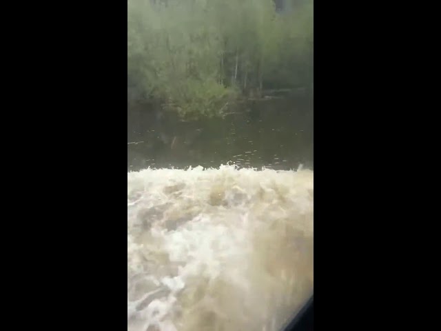 Тем временем в Сыктывкаре