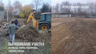 youtube-thumb