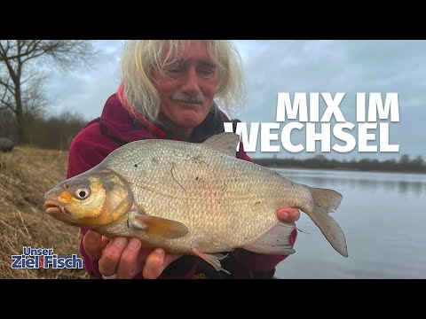 BRASSEN am KANAL: CLEVER FANGEN beim FEEDERN - Unser Ziel ist Fisch - Angelschule mit Jörg Ovens