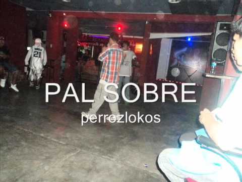 PAL SOBRE - PERROZLOKOS (PREVIO)
