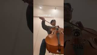 Download lagu 右腕の姿勢キープ筋がしんどい#mendelssohn #scotland #cello #daily #practice mp3 Download lagu 右腕の姿勢キープ筋がしんどい#mendelssohn #scotland #cello #daily #practice mp3