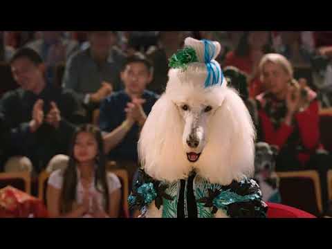 Pup Star: World Tour Interviews by Nathalia J.