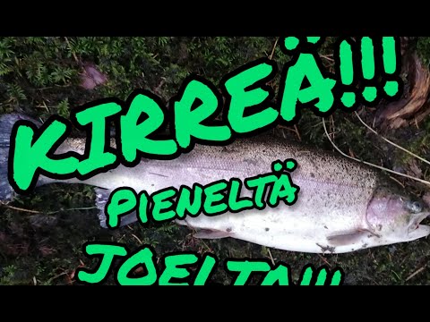 Kirjolohen kalastusta pienellä joella | Catching rainbow trout in a small river | 28.5.2021