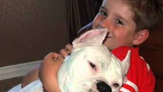 Eek   Baby Eaters! 640x480