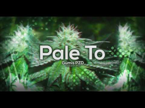 Pale To - Gumis PZD