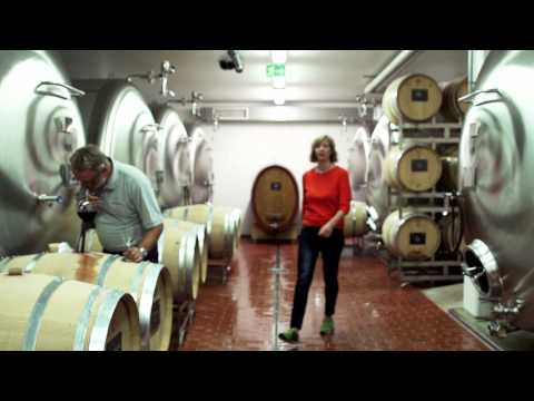 Brittas Weinlatein: Was ist Terroir?