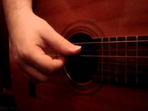 O Pato video
