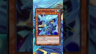 Blue Dragon Ninja YUGIOH TRADING CARD