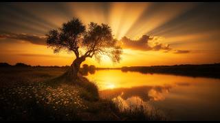 11h Friday Reset 🌿 Healing Flute Music to Release Stress & Stay Calm