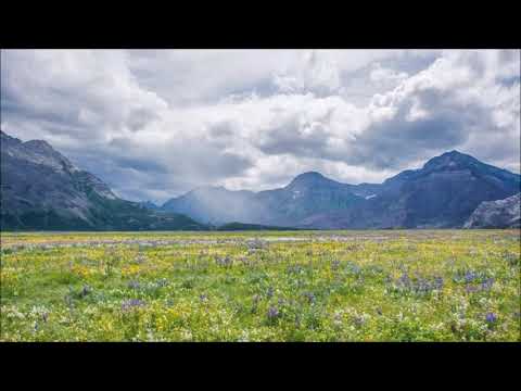 Ce bucurie am în Isus - Negativ Creștin