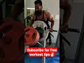 Back exercise 💪🏻🔥 #backworkout #backdayworkout #youtubeshorts #gymworkout #freedietplans #fitness