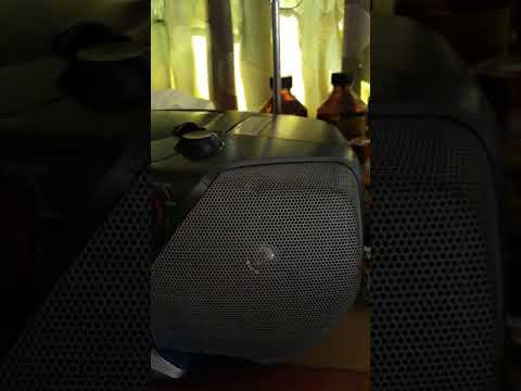 Judit Ongkino-hivaai zonu id ginavo nu