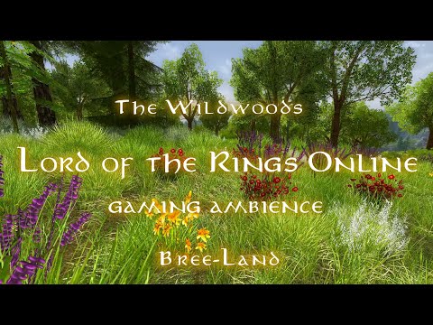 LOTRO - Bree-Land ambience - The Wildwood - Lord of the Rings Online