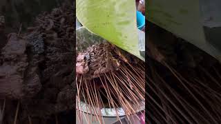 Download lagu WAJIB KESINI KALO KE PEMALANG! NYOBAIN NASI GROMBYANG PAK HAJI WARSO mp3