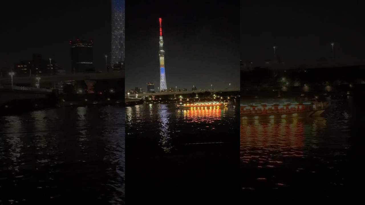 Peaceful night #Shorts #shortfeed #tiktokedit #foryou #travel #japan