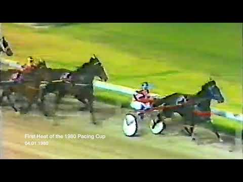 Satinover Meets Pure Steel - 1980 Pacing Cup